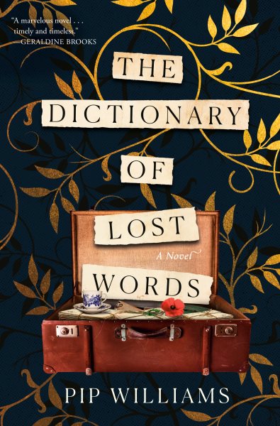 cover art the dictionary of lost words