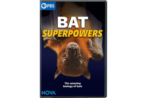 Movie poster - Bat Superpowers. PBS. Upside down bat.
