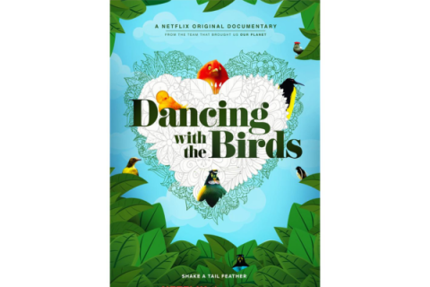 Movie poster - Dancing with the Birds. Colorful birds around a white  heart. 