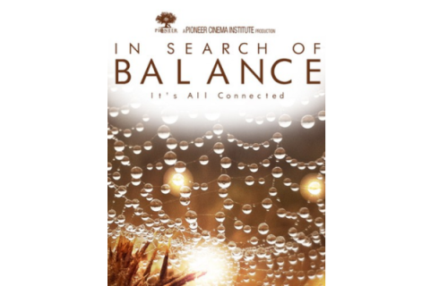 In Search of balance movie poster - close up of dew-laden spiderweb.