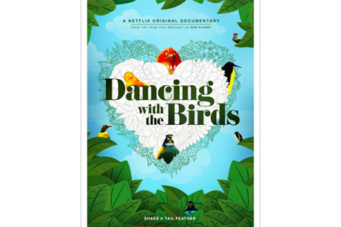 Movie poster Dancing with the birds with colorful birds around a heart outline..
